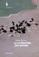 Littérature des images (La)